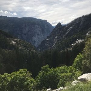 Meet your Posher, Charlie